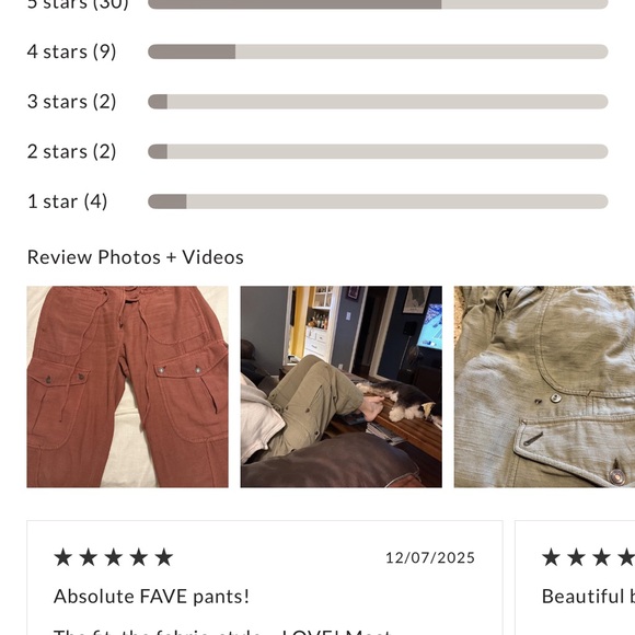 Free People We The Free Park Ave Pants Adventurer Size Large - Picture 4 of 11